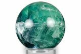 Polished Green & Purple Fluorite Sphere - Mexico #344834-1